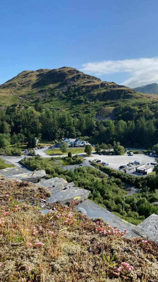 Plas Weunydd Blaenau Ffestiniog Dış mekan fotoğraf